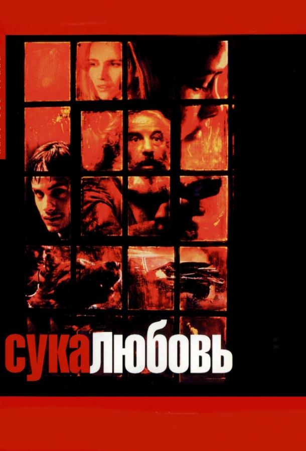 Фильм Сука-любовь (2000) смотреть онлайн